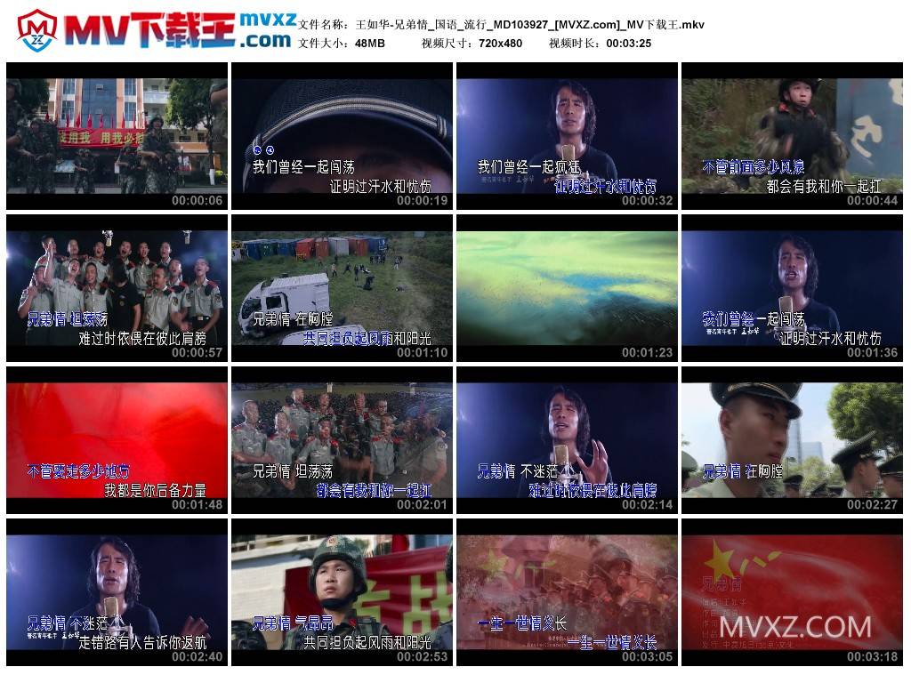 王如华-兄弟情_国语_流行_MD103927